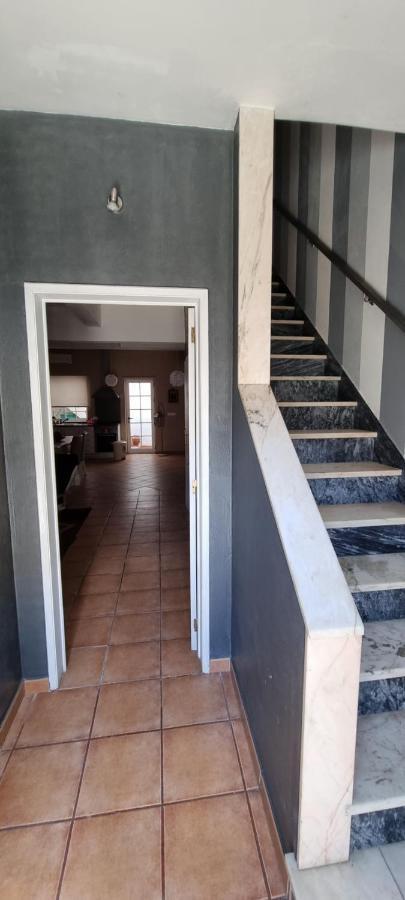 Casa Da Rua Da Fonte Villa Ferreira Do Alentejo Eksteriør billede